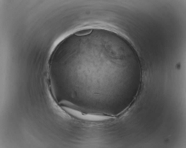 X0000116491522200912231141