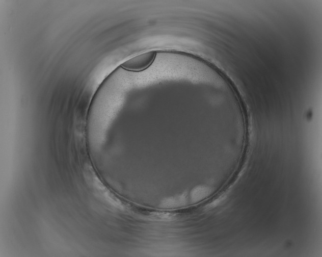 X0000116491529200912231141