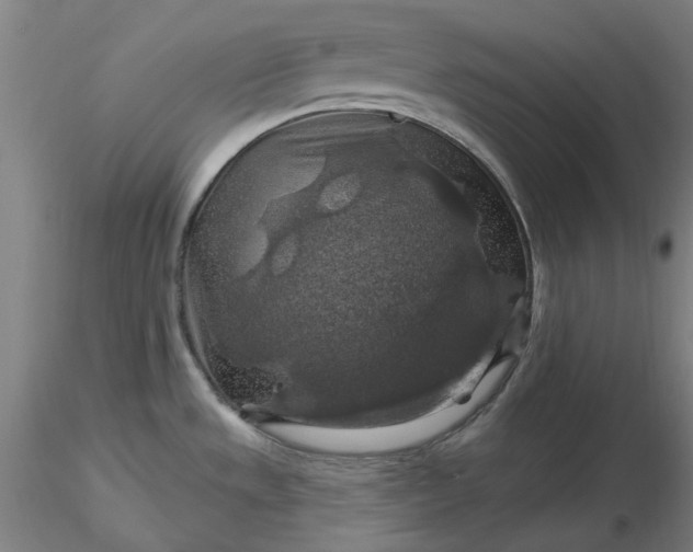 X0000116491533200912231141