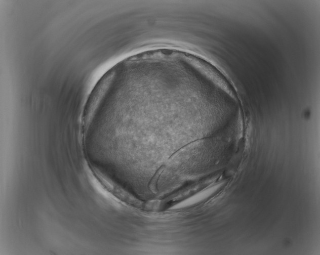 X0000116491535200912231141