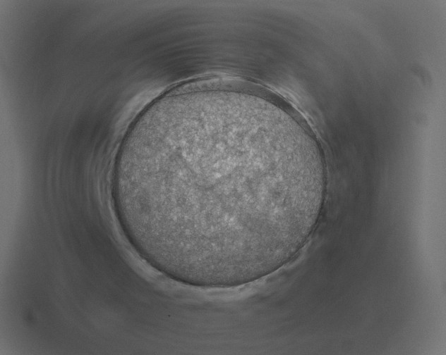 X0000116490001200912292114