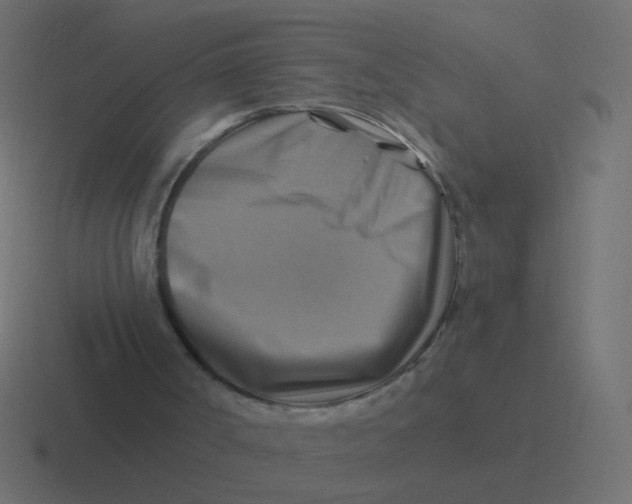 X0000116490002200912292114