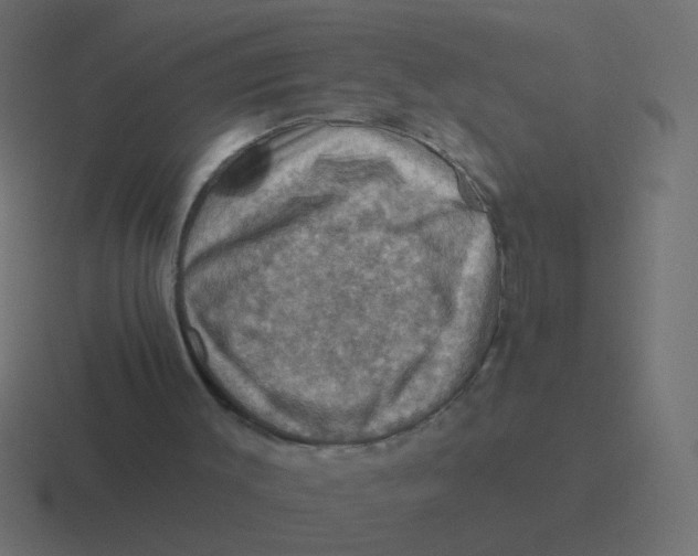 X0000116490003200912292114