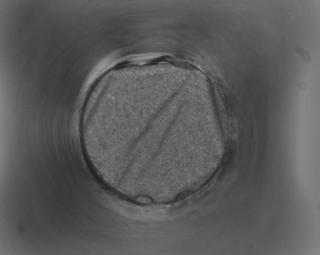 X0000116490004200912292114