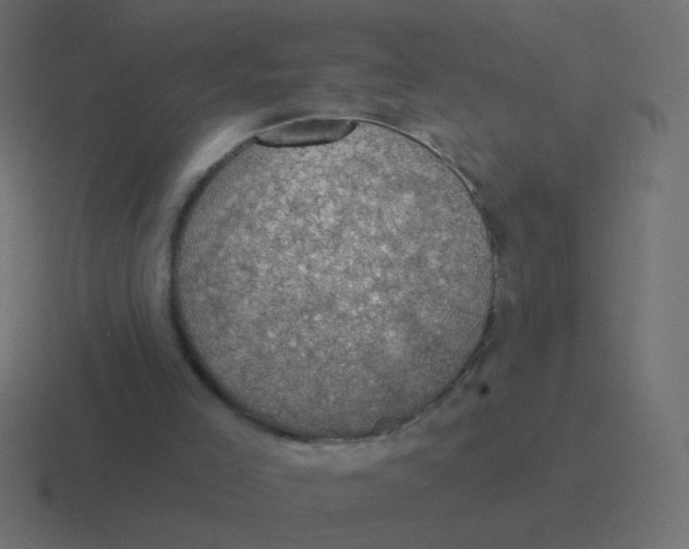 X0000116490005200912292114