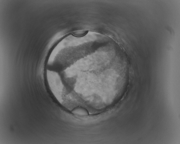 X0000116490006200912292114