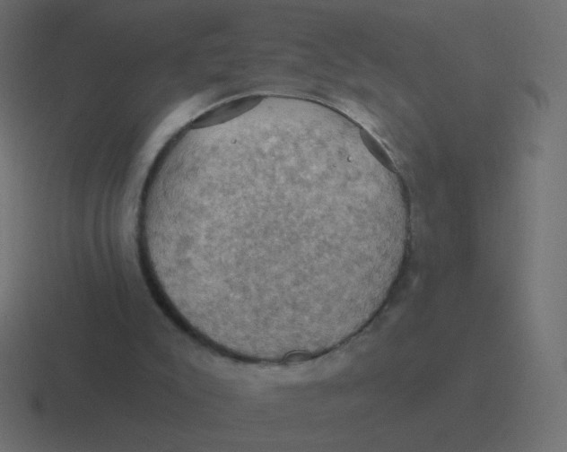 X0000116490007200912292114