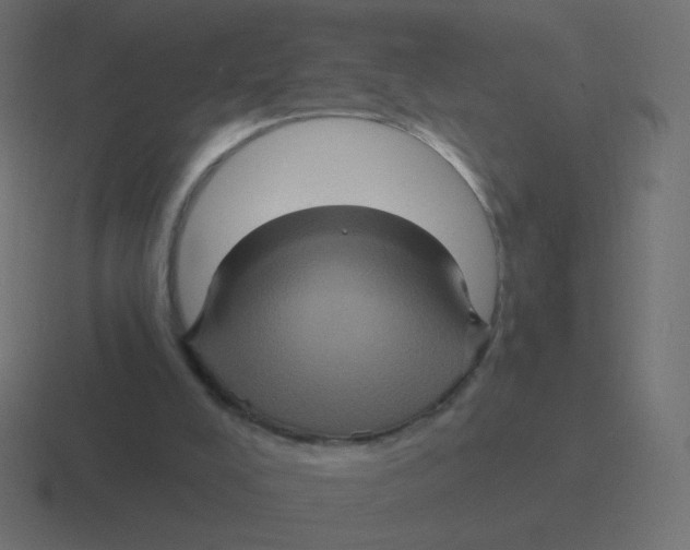 X0000116490008200912292114