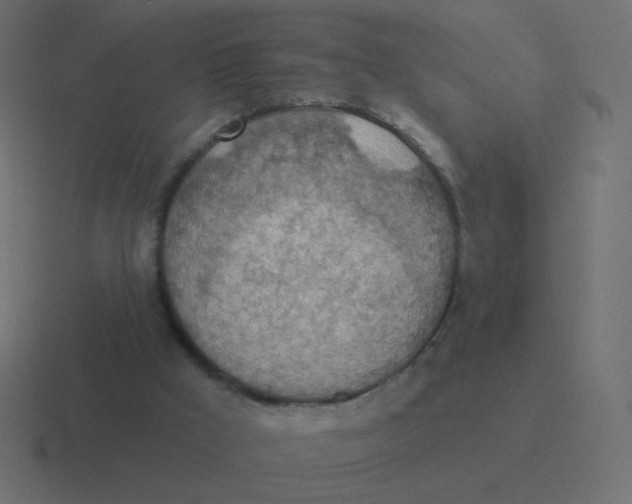 X0000116490009200912292114