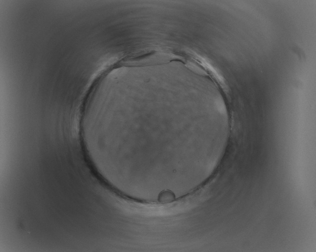 X0000116490010200912292114