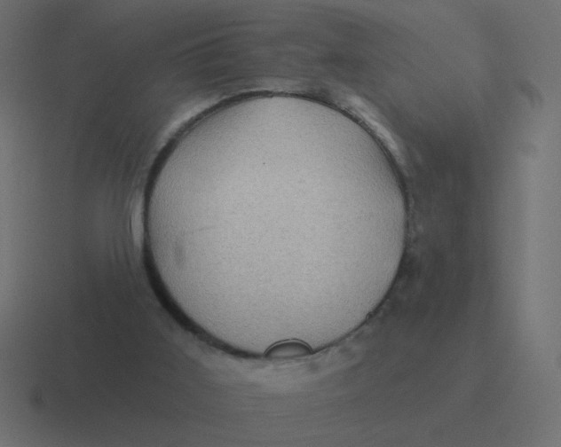 X0000116490011200912292114