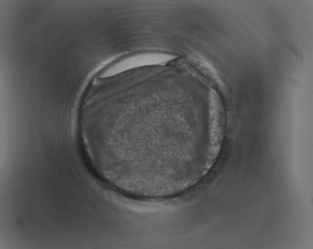 X0000116490012200912292114