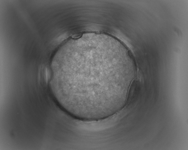 X0000116490013200912292114