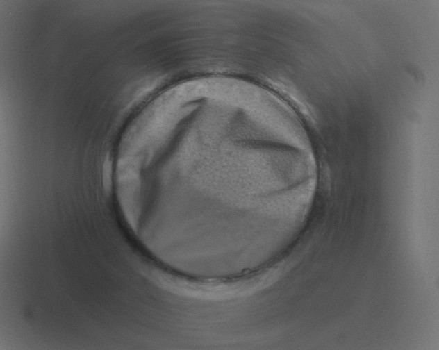 X0000116490014200912292114