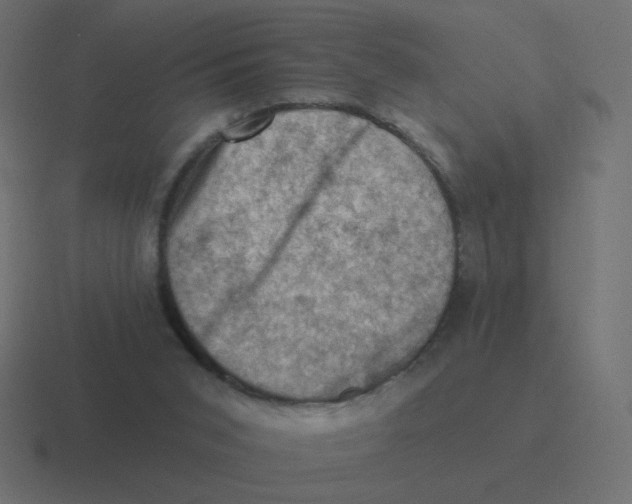 X0000116490015200912292114