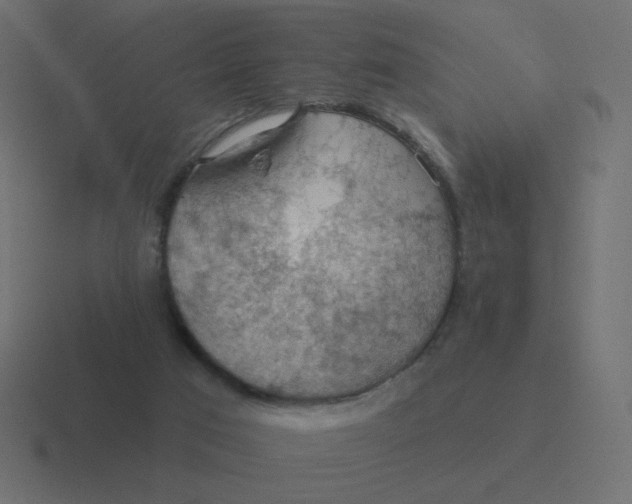 X0000116490017200912292114