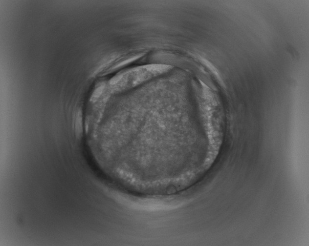 X0000116490020200912292114