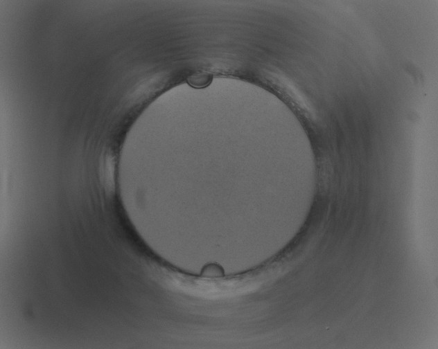 X0000116490022200912292114