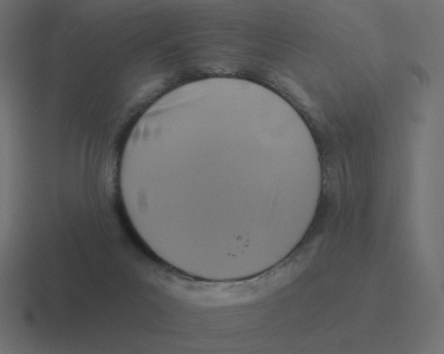 X0000116490023200912292114