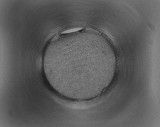 X0000116490024200912292114