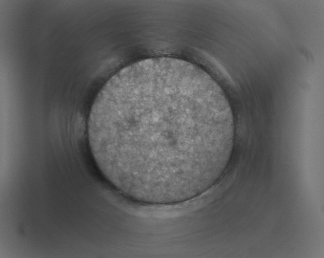 X0000116490025200912292114