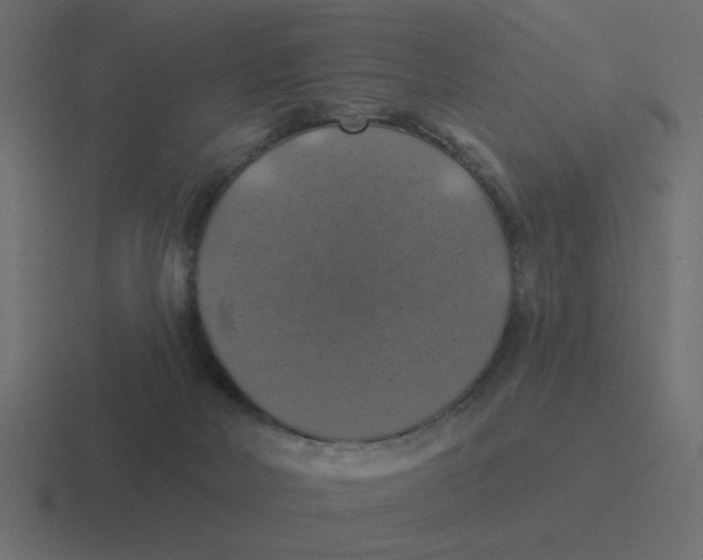 X0000116490026200912292114