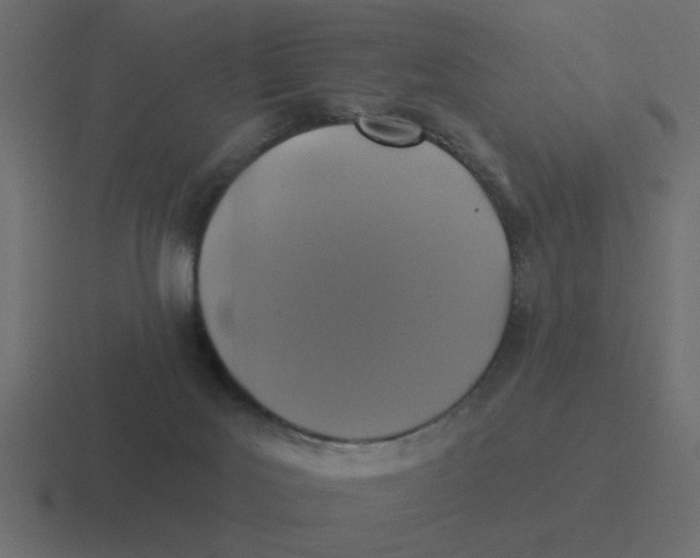 X0000116490027200912292114