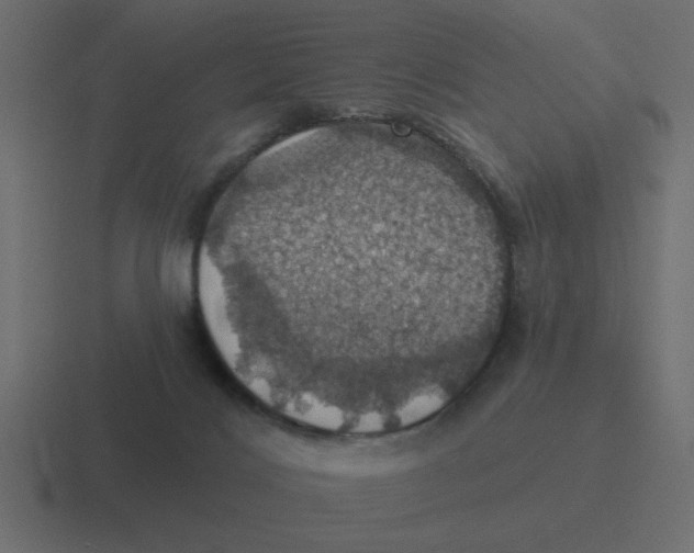 X0000116490028200912292114