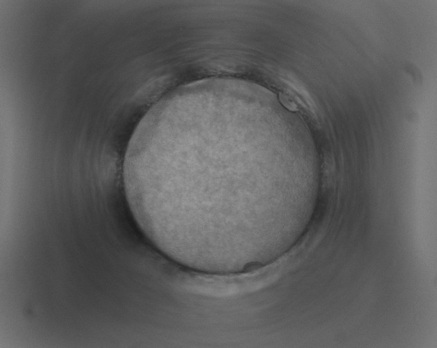 X0000116490029200912292114