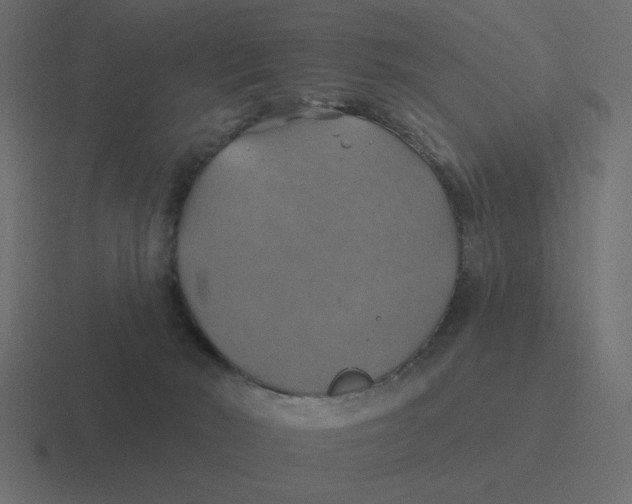 X0000116490030200912292114