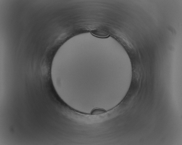 X0000116490031200912292114