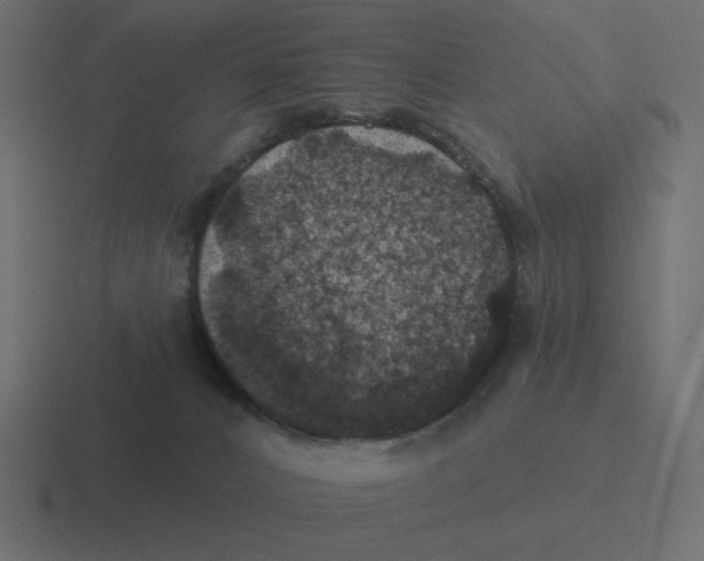 X0000116490032200912292114