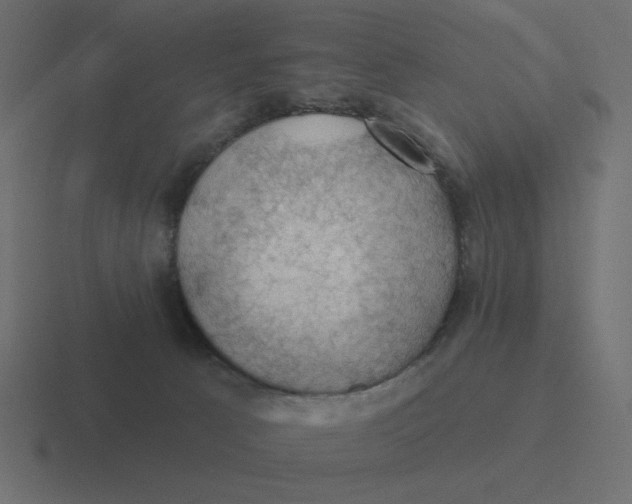 X0000116490033200912292114