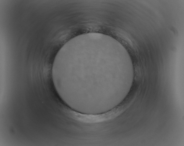 X0000116490034200912292114