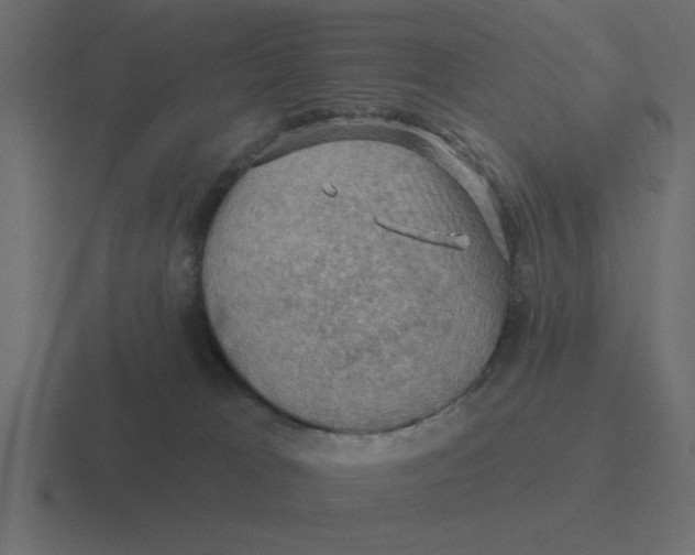 X0000116490037200912292114