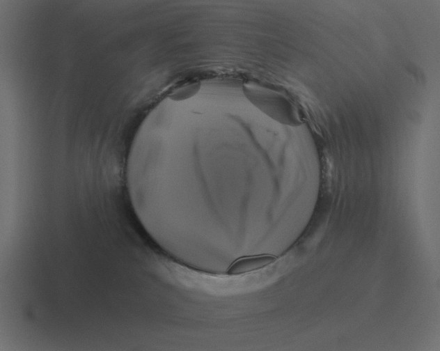 X0000116490039200912292114