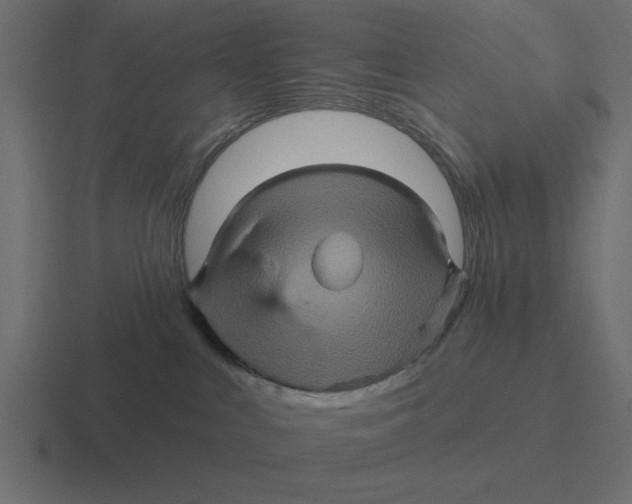 X0000116490043200912292114