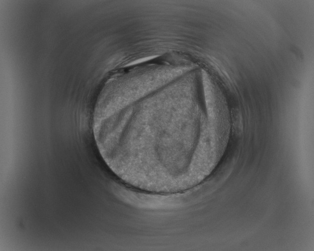 X0000116490044200912292114