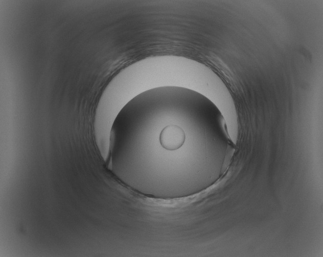 X0000116490045200912292114