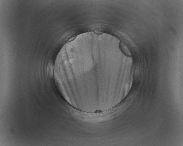 X0000116490046200912292114