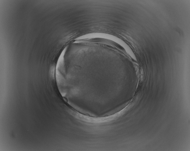 X0000116490047200912292114