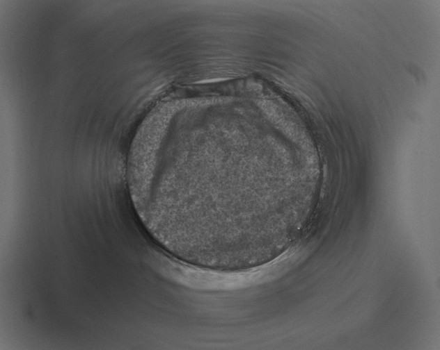 X0000116490048200912292114