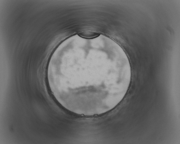 X0000116490049200912292113