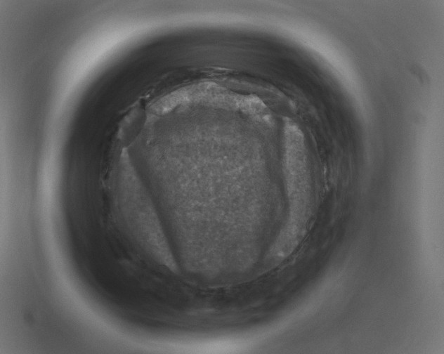 X0000116490050200912292113