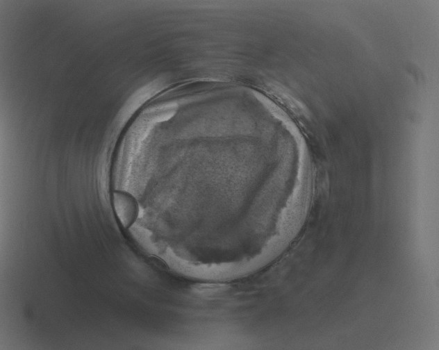 X0000116490051200912292113