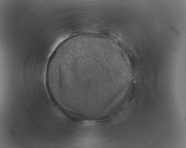 X0000116490052200912292113