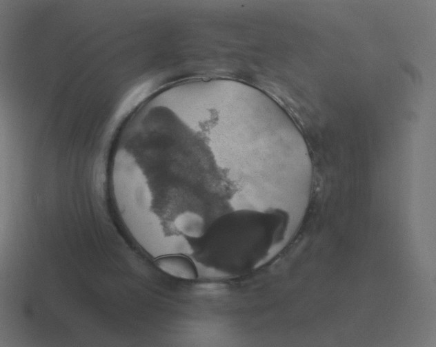 X0000116490053200912292113