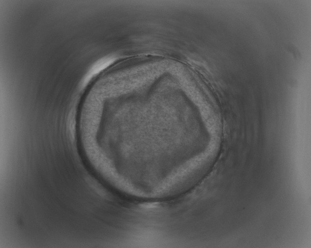 X0000116490054200912292113