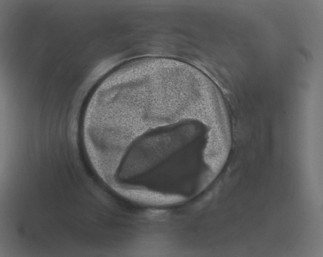 X0000116490055200912292113