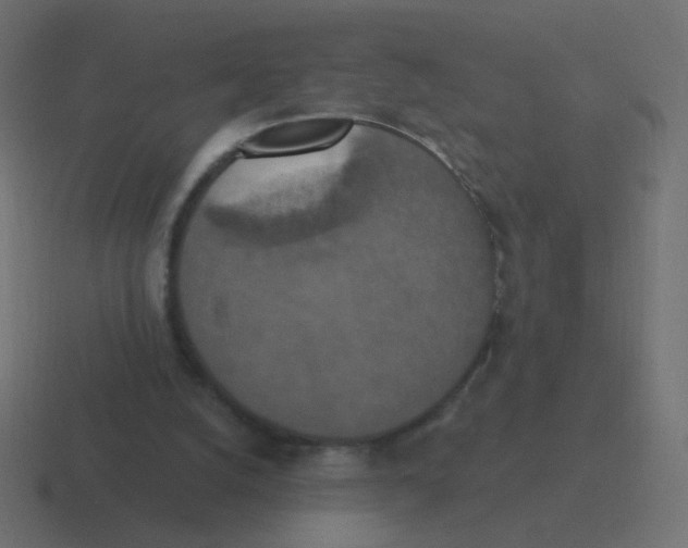 X0000116490056200912292113